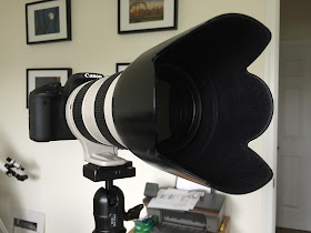 large lens hood