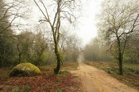 IMG_0727