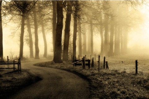 Road-to-Nowhere