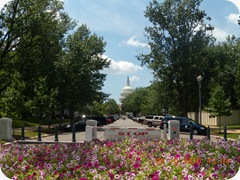 DSCN8542