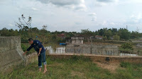 Bupati Lamtim Bakal ke Lokasi Robohnya TPT Jembatan Kali Pasir
