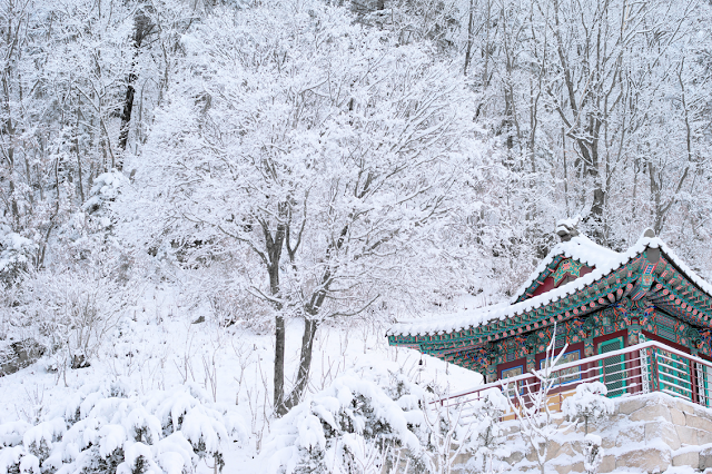 Inverno in Corea: un'ottima idea