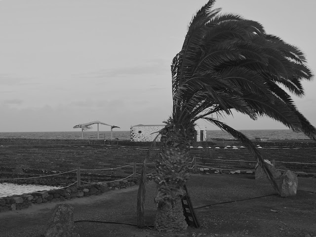 jiemve, le temps d'une pose, Canarias, les Canaries, Fuerte Ventura, squelette de baleine, Salinas del Carmen