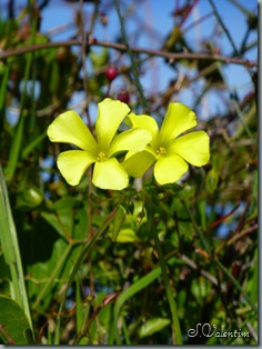P1000176