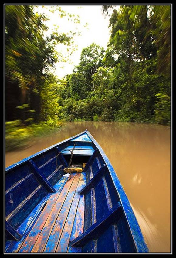 Amazon River