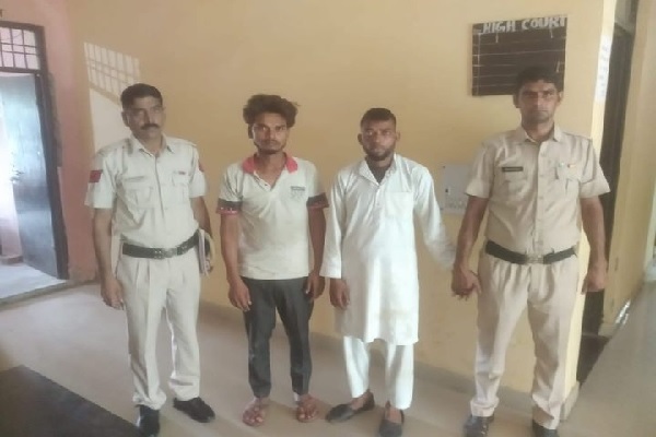 Utavad-and-Hathin-police-station-recovered-24-kg-of-beef-and-two-live-cows-in-two-cases-three-smugglers-were-arrested