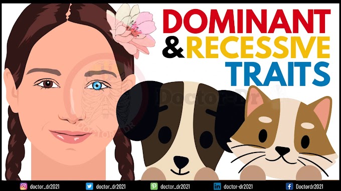 Dominant and Recessive Traits in Humans, Animals, and Plants