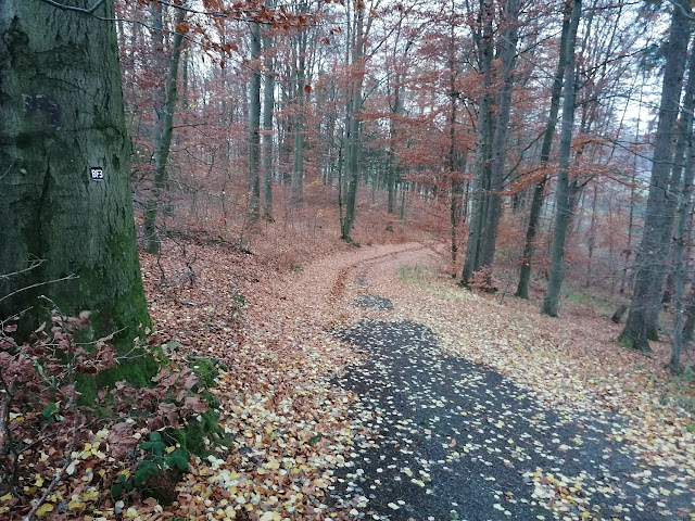 Sauerland wandern Wetter blog Schmallenberg Homert