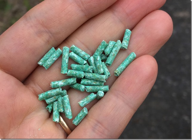 ニュージーランドは春 庭でカタツムリによる被害発生も駆除剤の効果がすごかった ニュージーランド暮らし