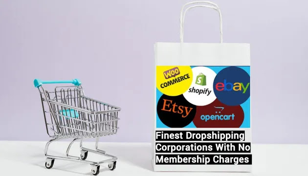 Finest Drop shipping Corporations With No Membership Charges
