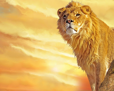 lion king wallpapers. Lion King Desktop Wallpapers