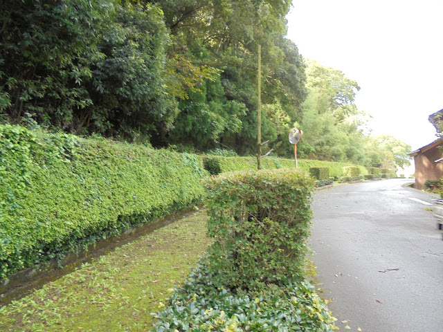 生垣のある整備された歩道を通って帰ります