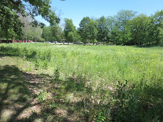 Gebhard Woods State Park