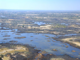 Il Delta dell'Okavango visto dall'aereo