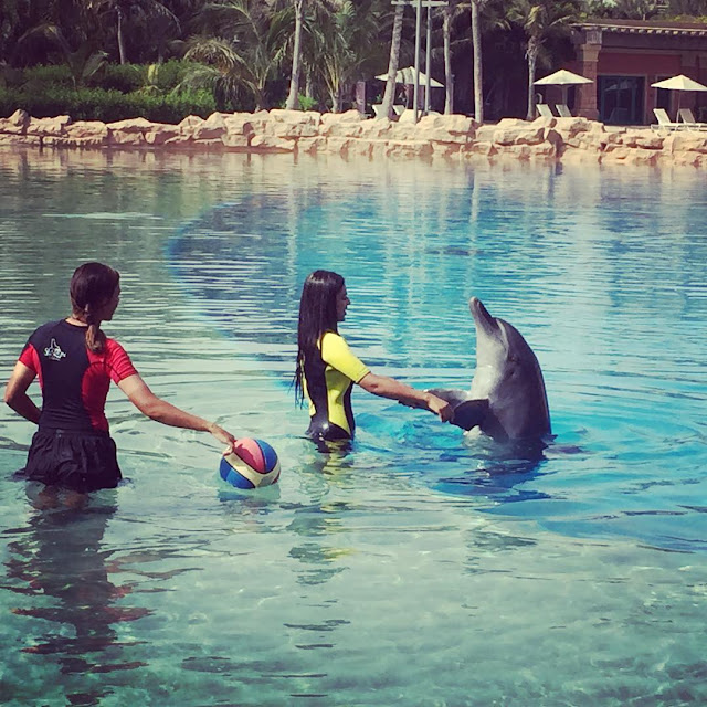 nia sharma play with dolphin pic
