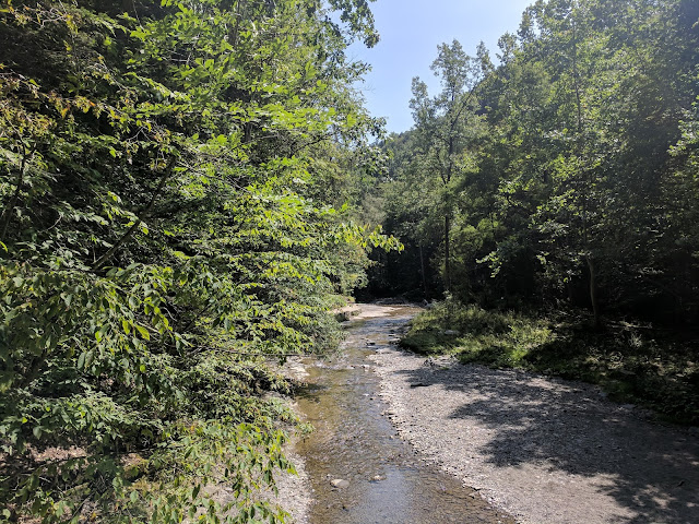 Last Trip of The Summer:  Robert H Treman State Park --Part One --How Did I Get Here? My Amazing Genealogy Journey