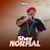 AUDIO | DJ CORA - Shey Normal (Mp3) Download