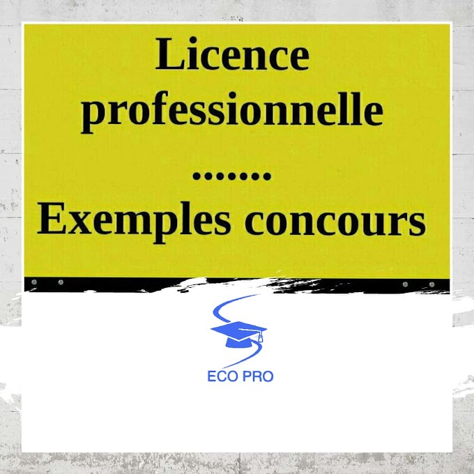 Licence Professionnelle Exemples concours