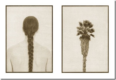 Niniane_Kelley_Palm