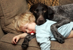 Baby And Dog are Best Friend