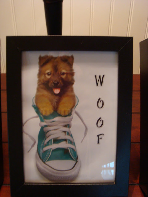  puppies in Converse shoes and cut them to size to fit in each frame.
