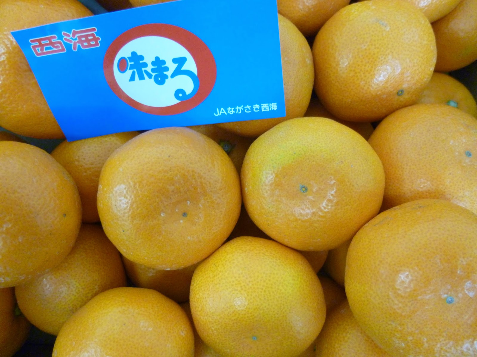 さくま青果ブログ 西海 味まるみかん