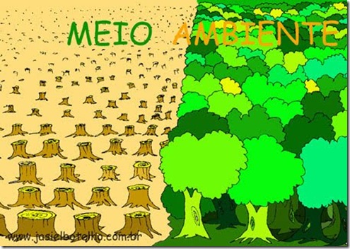 MEIO-AMBIENTE