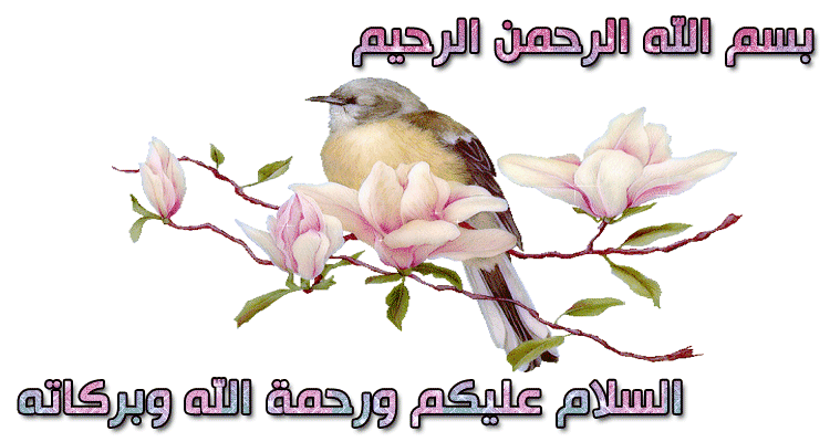 Forum Culturelle Ø£Ø¶Ù Ø¥Ù„Ù‰ Ù…Ø¹Ù„ÙˆÙ…Ø§ØªÙƒ