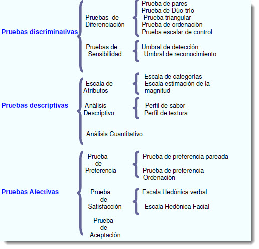 Pruebas Sensoriales