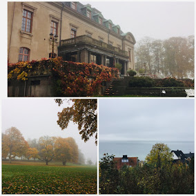 Örenäs Slott