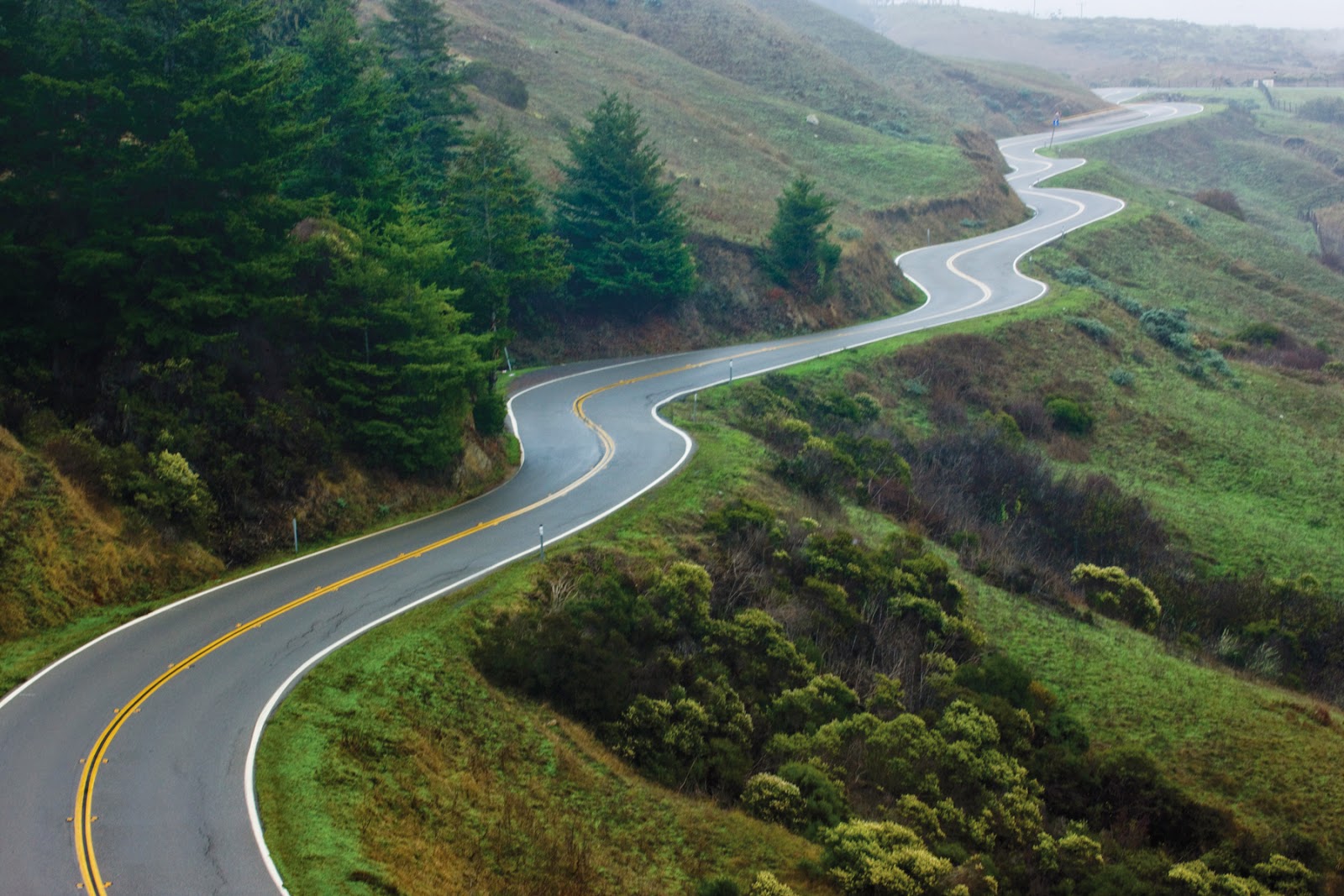 A road and route on a way of the track