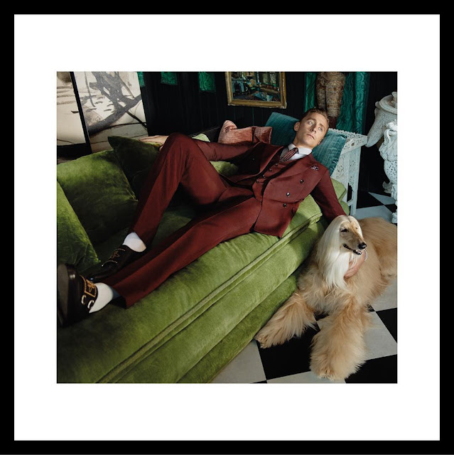 tom hiddleston, gucci, campaign, fashion, alessandro michele