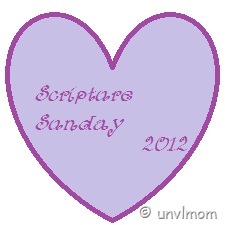scripture sunday