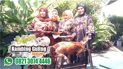 Kambing Guling Muda Ujungberung,Kambing Guling Muda,Kambing Guling,Kambing Guling Ujungberung,