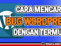 Cara Mencari Bug Wordpress dengan Termux