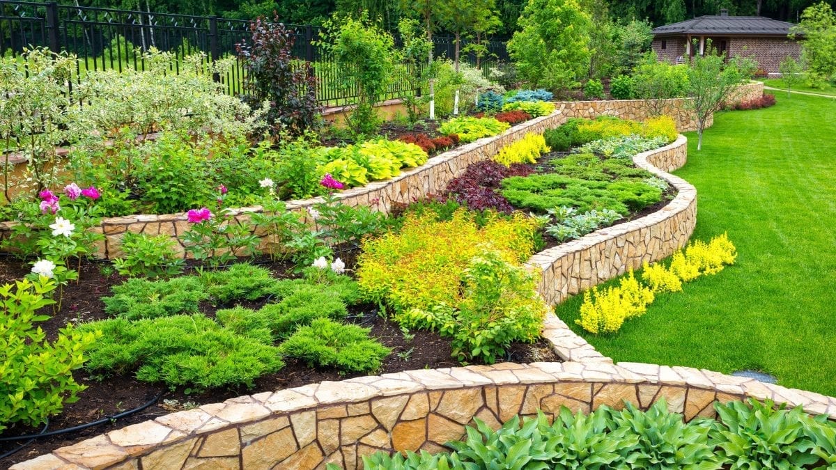 garden landscaping design image