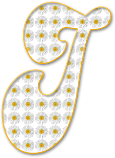 Abecedario con Margaritas Blancas y Orilla Amarilla. Alphabet with White Daisies and Yellow Shore.