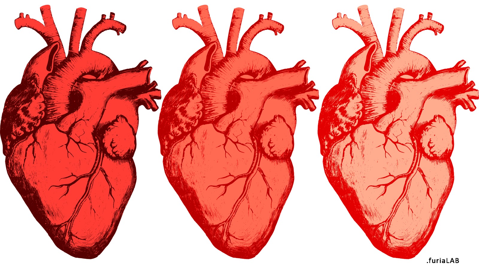 L’amore di Luciano Melchionna per le cose assenti