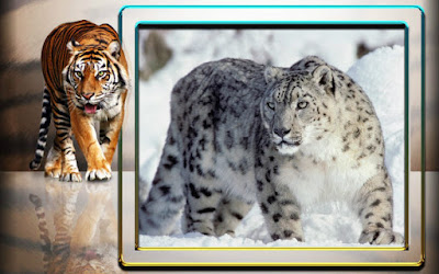 Snow Leopard 