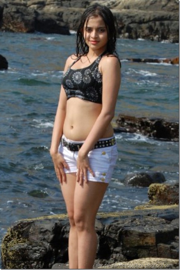actress-Sheena-Shahabadi-hot-boobs-stills