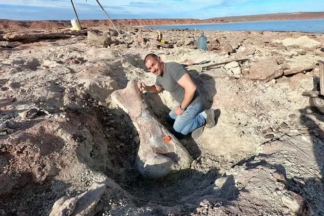 Los restos de una dinosaurio gigante aparecieron en un lago de Neuquén