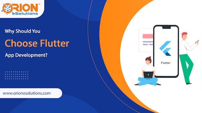 Why Should You Choose Flutter App Development?