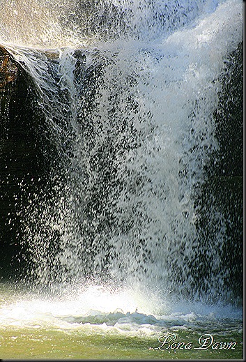 CF_FallsBasin_April14