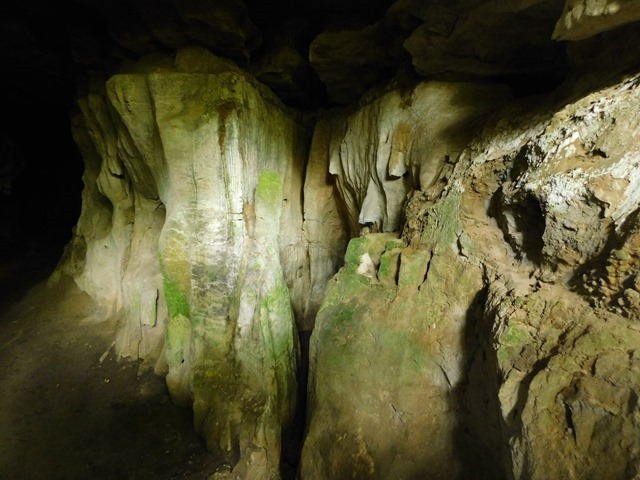 DSCN5718