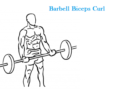 Build Bigger Biceps Fast