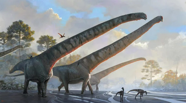 Ο εικονιζόμενος Mamenchisaurus είχε τον μεγαλύτερο λαιμό στη Γη. [Credit: Júlia d Oliveira/Natural History Museum]