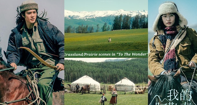 Review: To The Wonder (My Altay) C-Drama. More Than a Cross-Cultural Encounter 