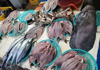 바구니에-담긴-손질된-고등어