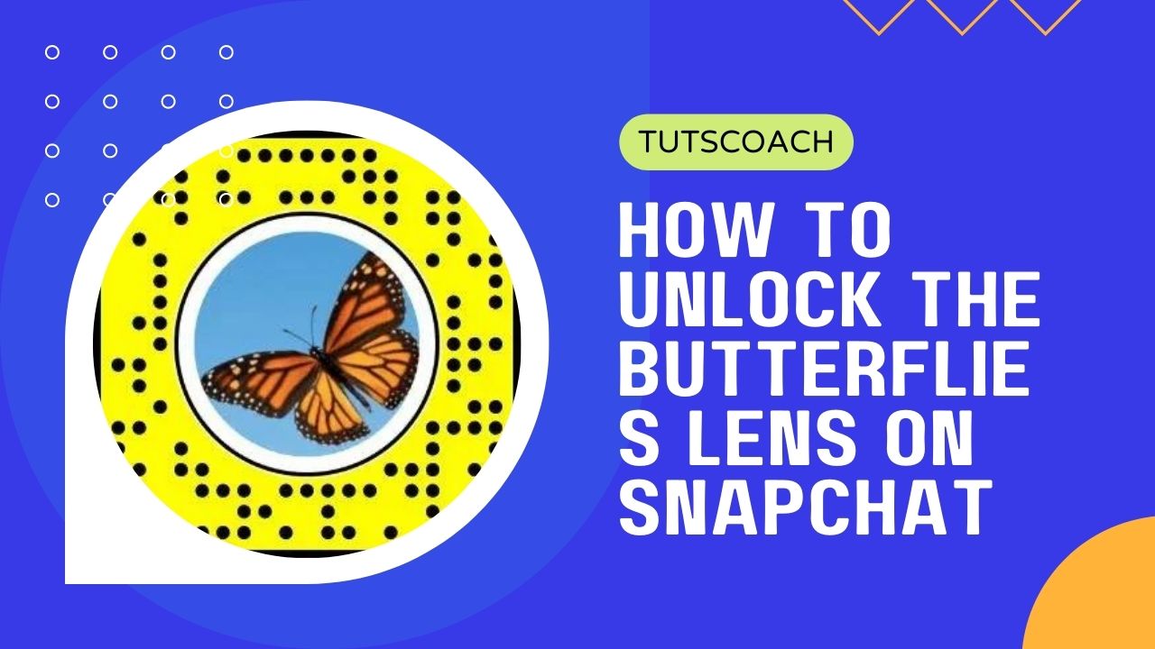 How to Unlock The Butterflies Lens on Snapchat