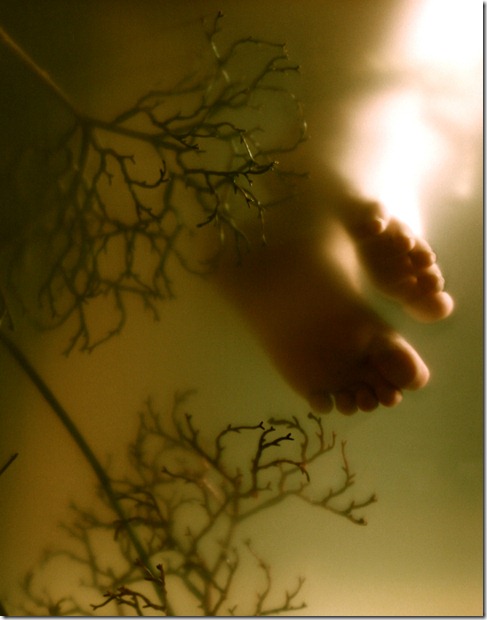resurrecting ophelia (5)